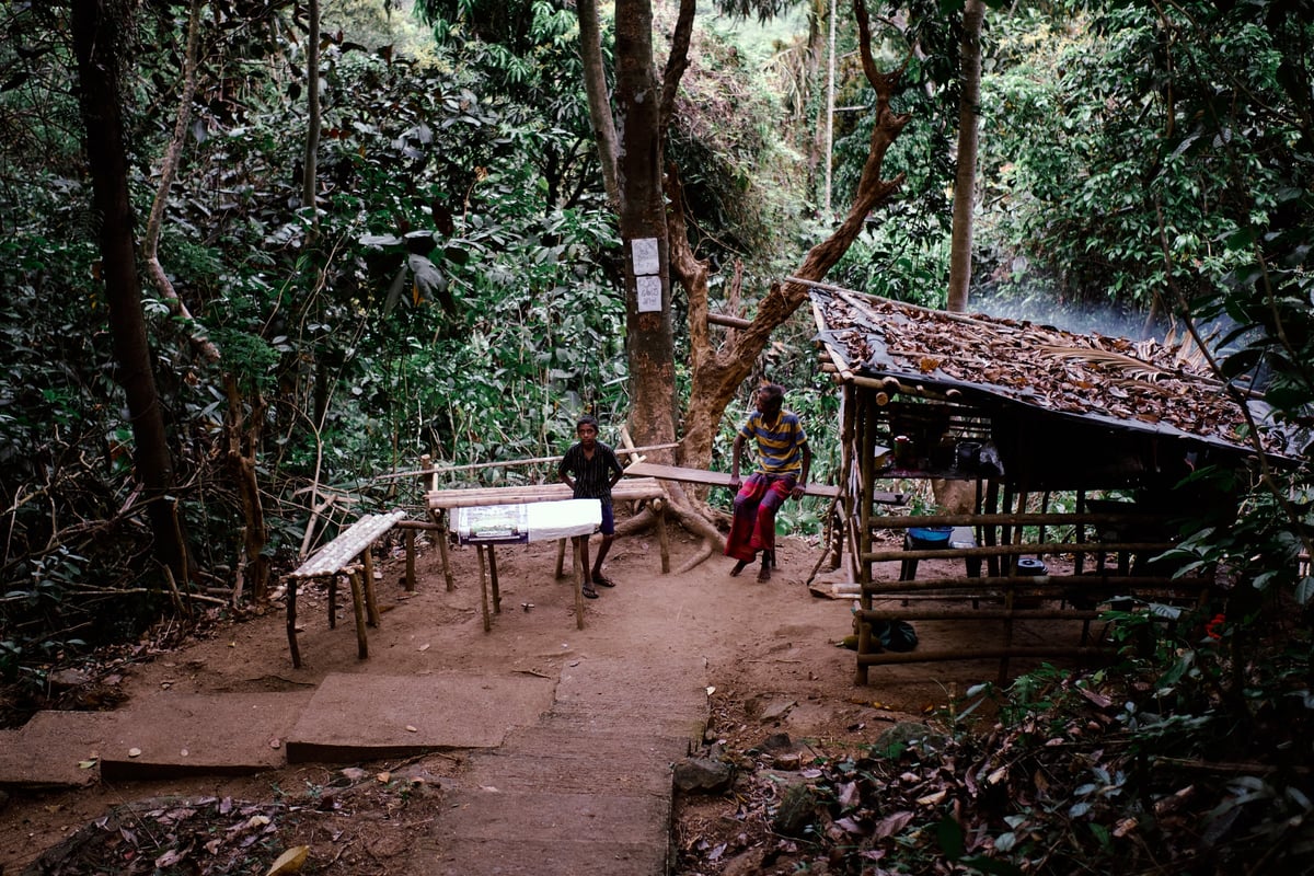 The Cost of Tea — Sri Lanka — 5